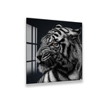 A close-up of a large, colorful octopus with its tentacles spread out, showcasing its intricate patterns and textures.