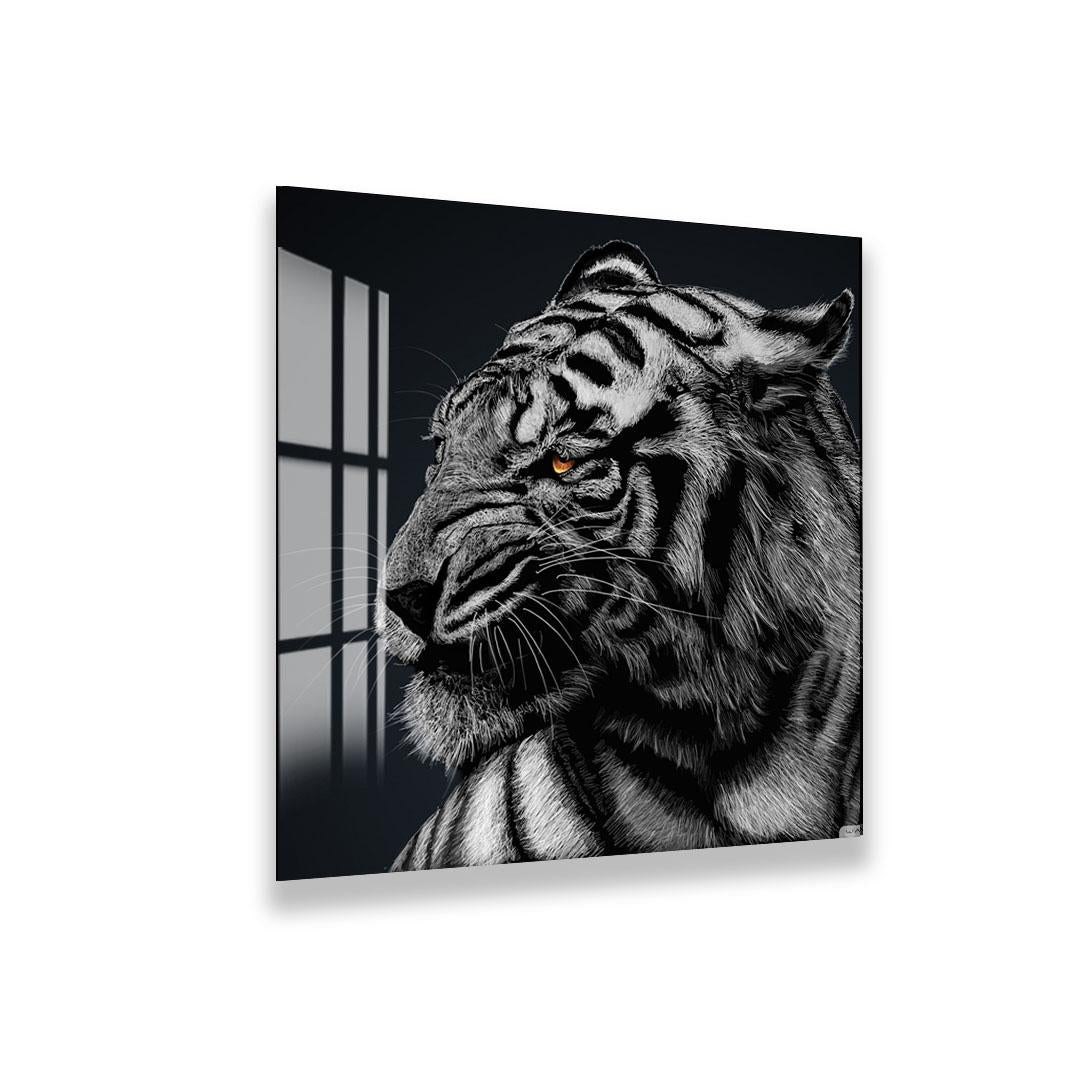 A close-up of a large, colorful octopus with its tentacles spread out, showcasing its intricate patterns and textures.