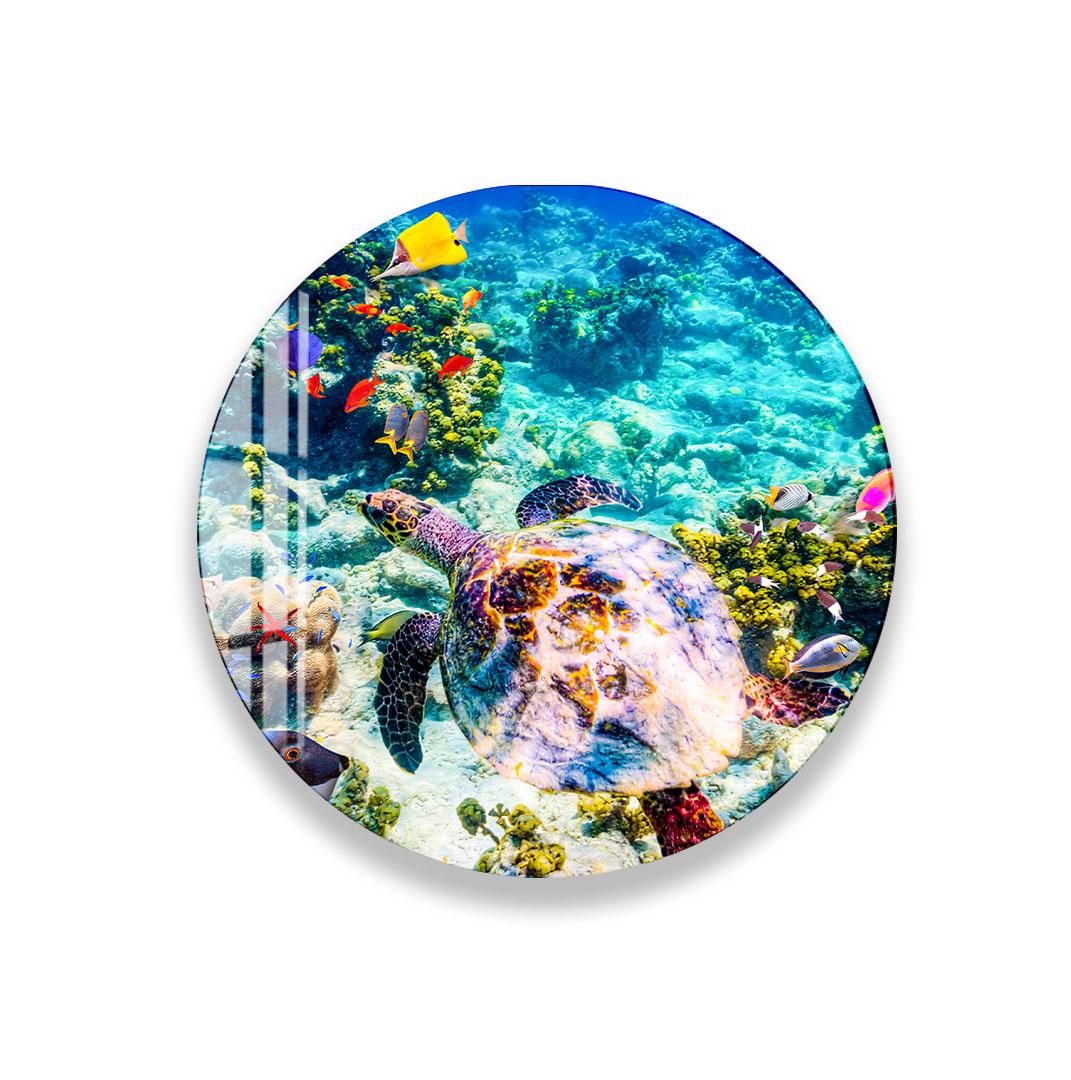 A colorful underwater scene featuring a large sea turtle swimming among vibrant coral and marine life.