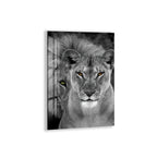 Majestic Lion and Lioness Glass Wall Art – Powerful Animal Decor for Modern Interiors
