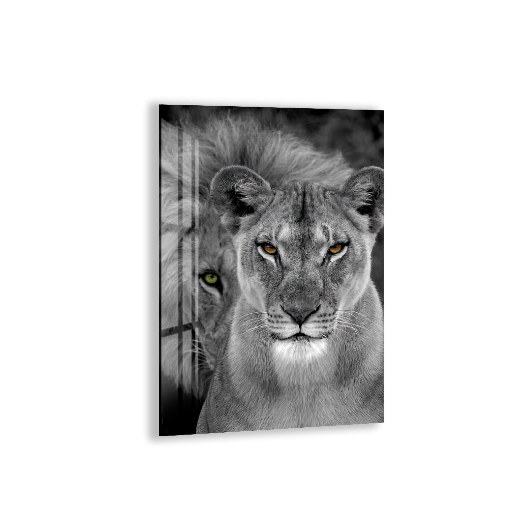 Majestic Lion and Lioness Glass Wall Art – Powerful Animal Decor for Modern Interiors