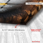 The image is a close-up of a bird's feathers, with a text overlay indicating that the glass is Tempered Glass and that the frame is 0.15" (4mm) thick.