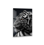 A close-up image of a large, colorful octopus with its tentacles spread out, showcasing its intricate patterns and textures.