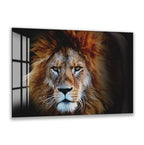 A close-up portrait of a majestic lion with its golden mane and intense gaze, captured in a striking black and white photograph.