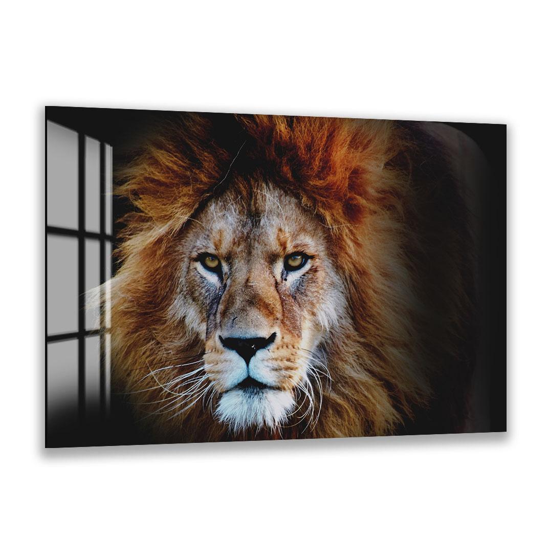 A close-up portrait of a majestic lion with its golden mane and intense gaze, captured in a striking black and white photograph.