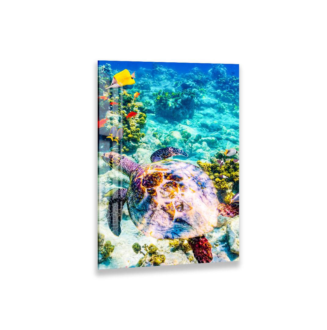 A colorful sea turtle swimming among vibrant coral and marine life in a clear blue ocean.