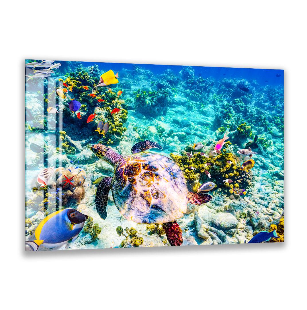 A vibrant underwater scene featuring a colorful sea turtle swimming among a variety of tropical fish in a coral reef environment.