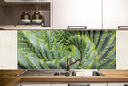 a kitchen with a large, vibrant green aloe plant as the focal point. The plant has long, sharp leaves and a distinctive spiral pattern, creating a striking visual effect. The kitchen has white cabinets and a stainless steel sink, providing a clean and modern aesthetic.