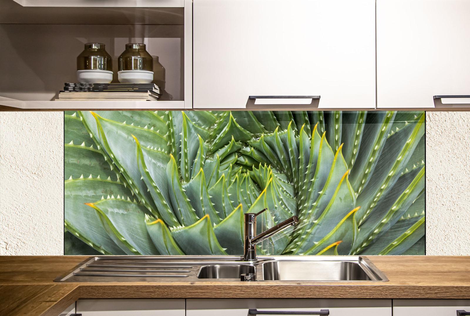a kitchen with a large, vibrant green aloe plant as the focal point. The plant has long, sharp leaves and a distinctive spiral pattern, creating a striking visual effect. The kitchen has white cabinets and a stainless steel sink, providing a clean and modern aesthetic.