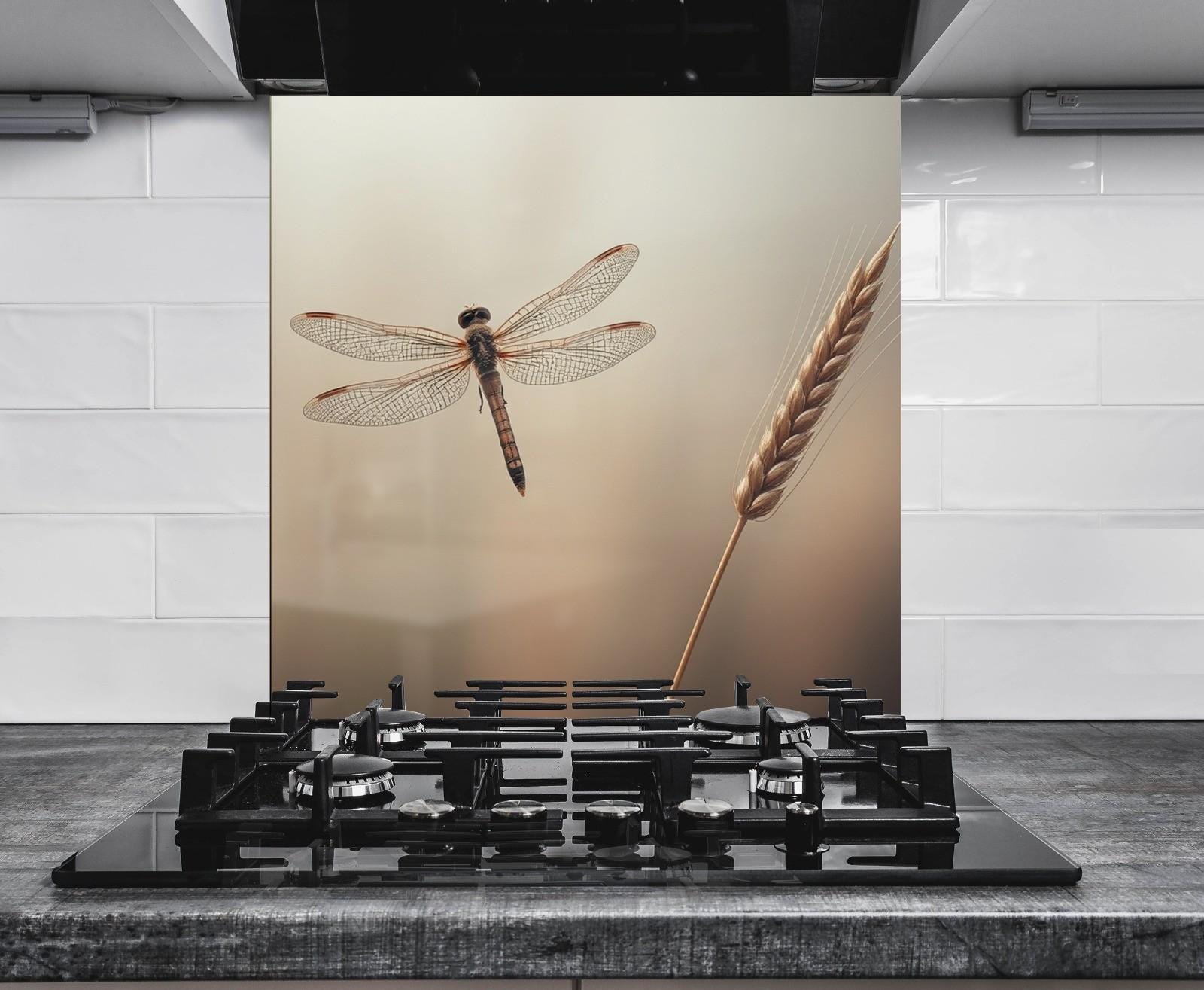 a picture of a dragonfly flying over a stove