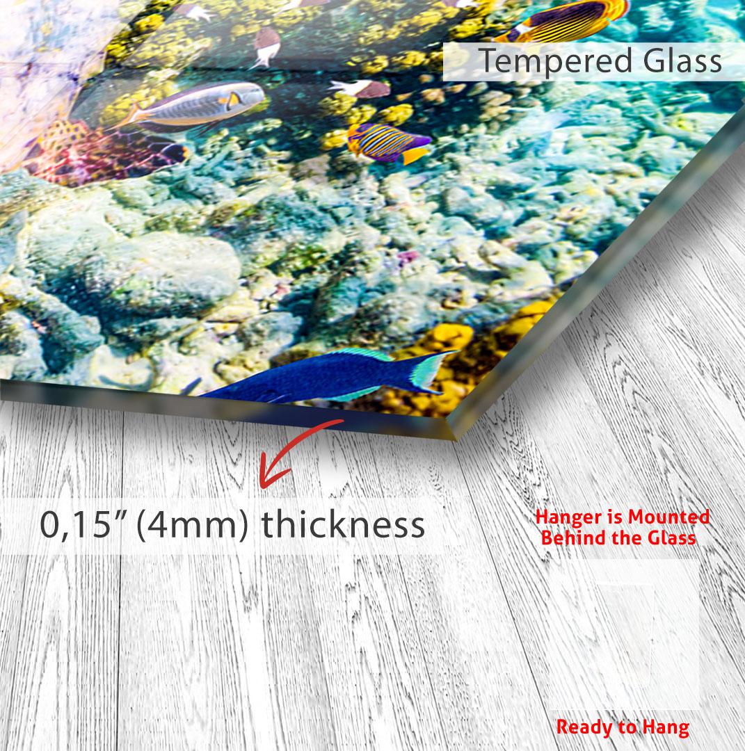 The image is a photograph of a coral reef with various colorful fish swimming around it. The photograph is mounted on a glass surface, and the image is described as having a thickness of 0.15 millimeters (4mm).