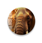 a close-up of an elephant's face, with its large tusks and wrinkled skin visible.