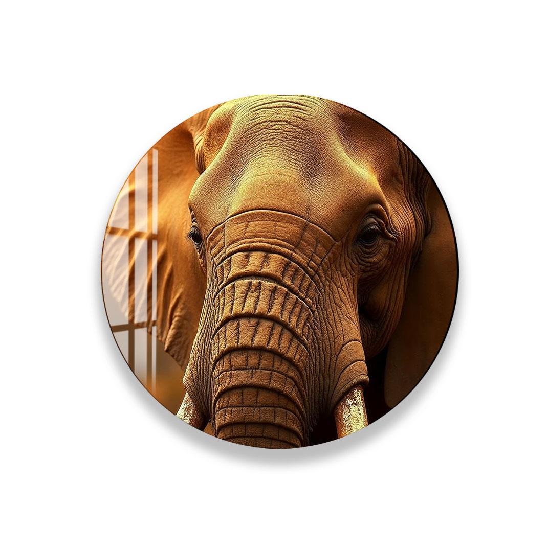 a close-up of an elephant's face, with its large tusks and wrinkled skin visible.