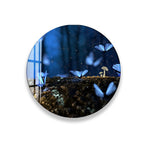 A tiger is drinking from a pond, its head submerged in the water.