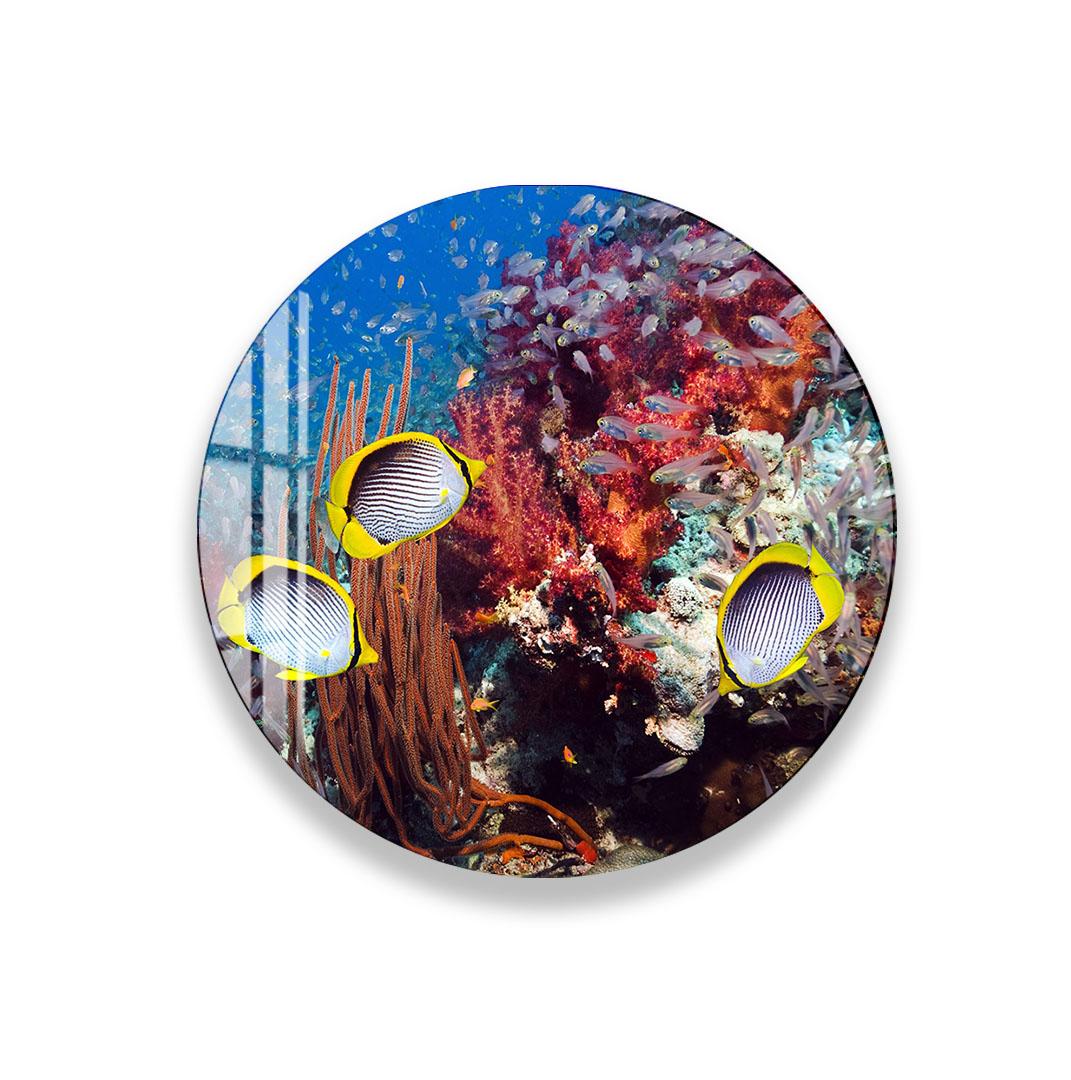A round glass wall art depicting a vibrant underwater scene with three colorful fish swimming among a coral reef.