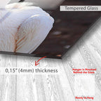 The image is a close-up of a bird's wing, with a text overlay indicating that the glass is Tempered Glass and that the frame is 0.15" (4mm) thick.