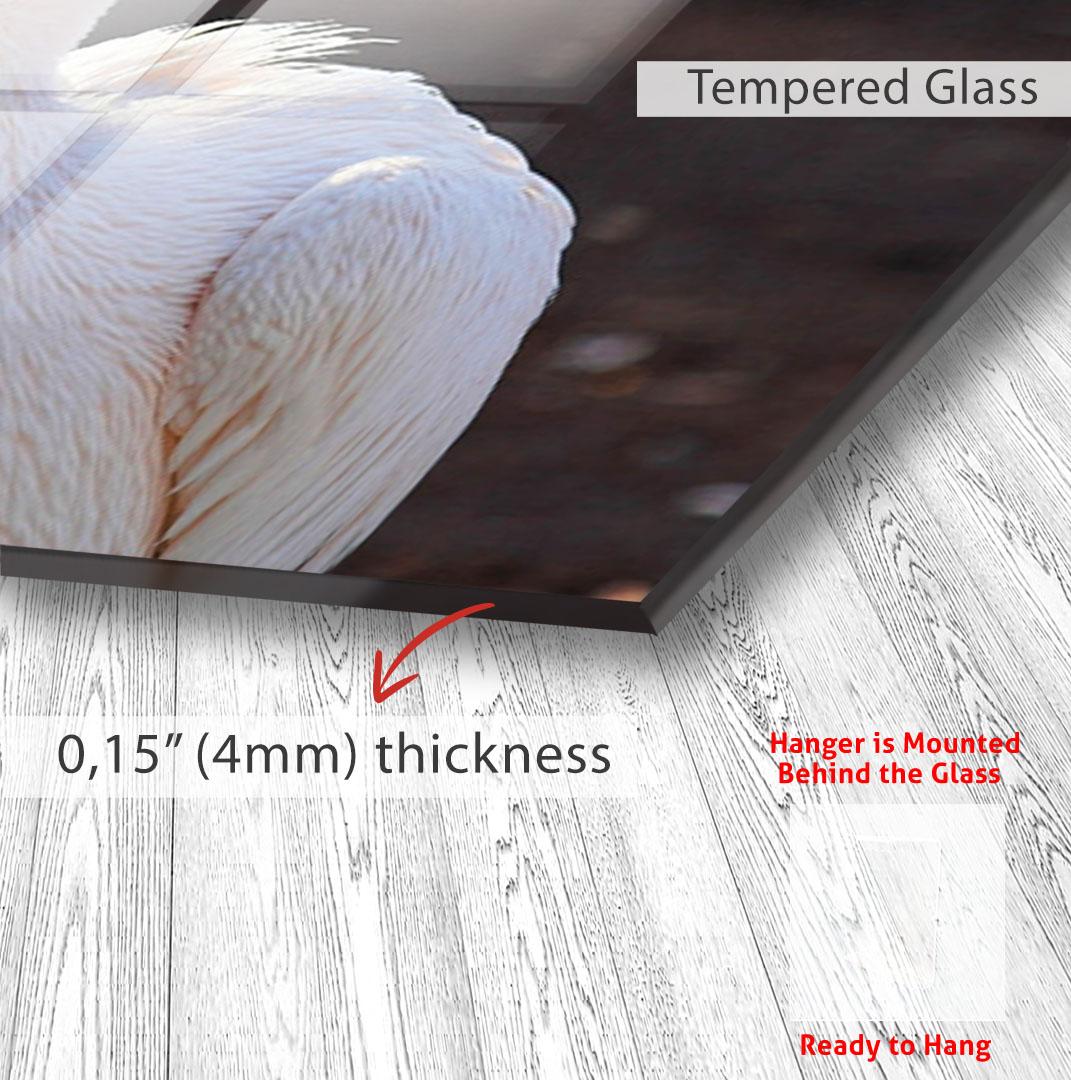 The image is a close-up of a bird's wing, with a text overlay indicating that the glass is Tempered Glass and that the frame is 0.15" (4mm) thick.