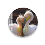 A pair of pelicans standing close together, with their beaks touching, creating a tender and affectionate moment.