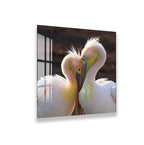 A pair of pelicans standing close together, with their heads touching in a gentle, affectionate manner.