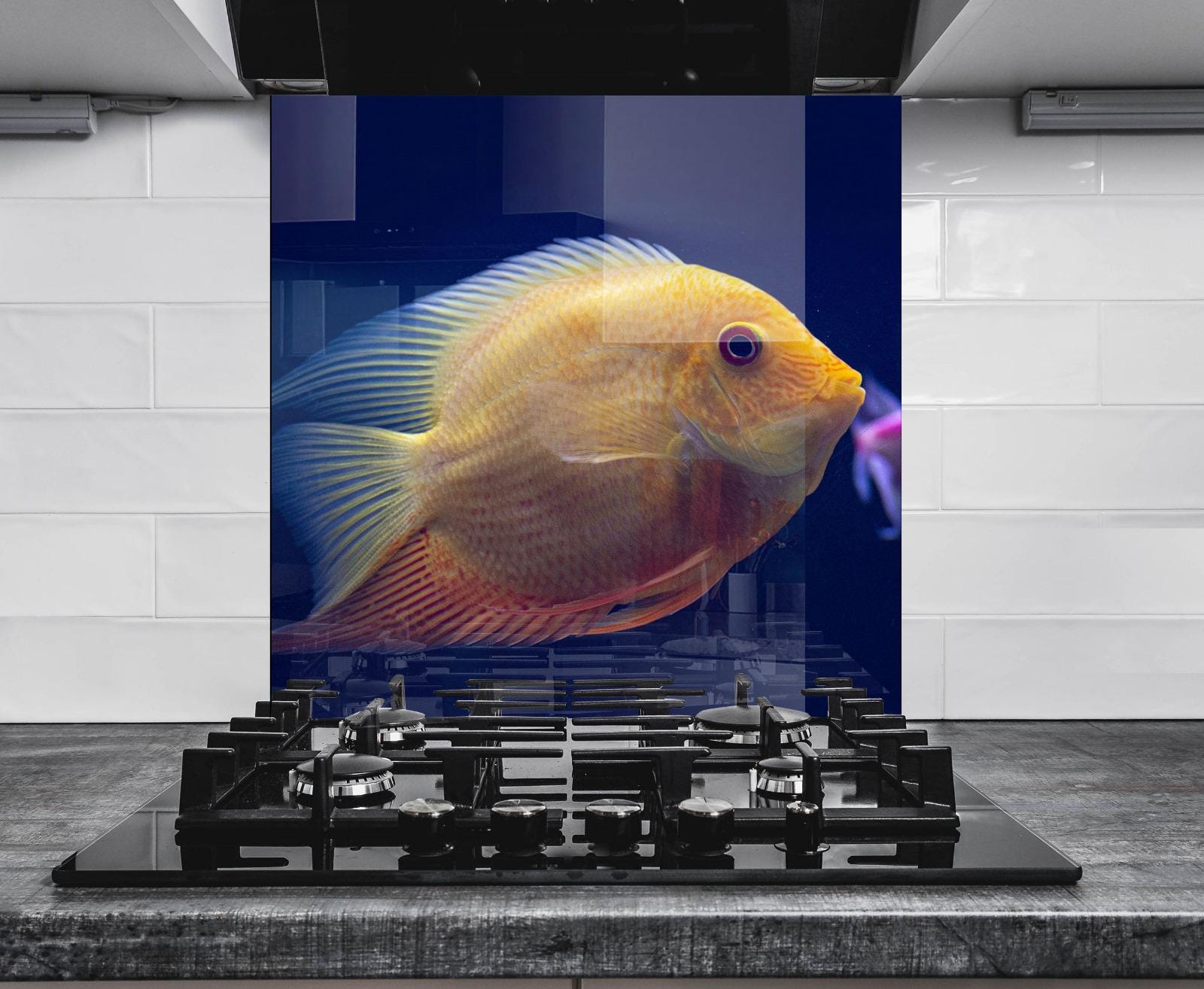 Modern marine-inspired glass backsplash for kitchens.